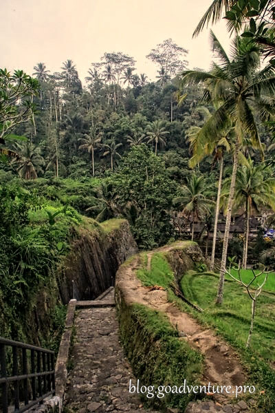Bali Pura Gunung Kawi 10